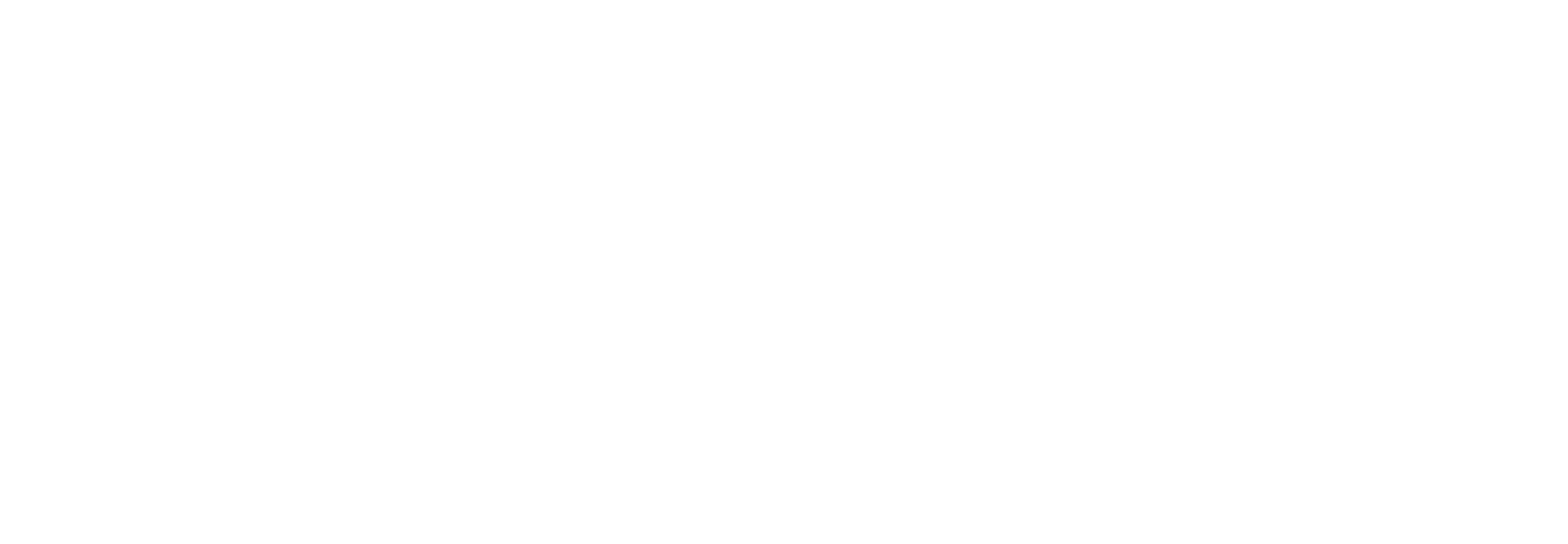 Horizon Media